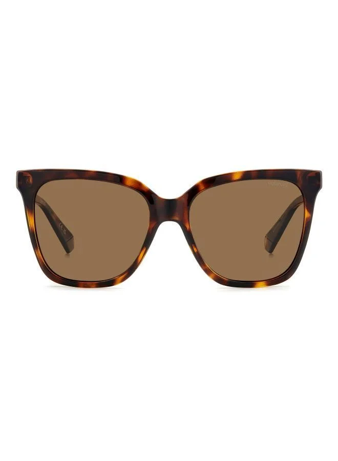 Square Sunglasses Frames